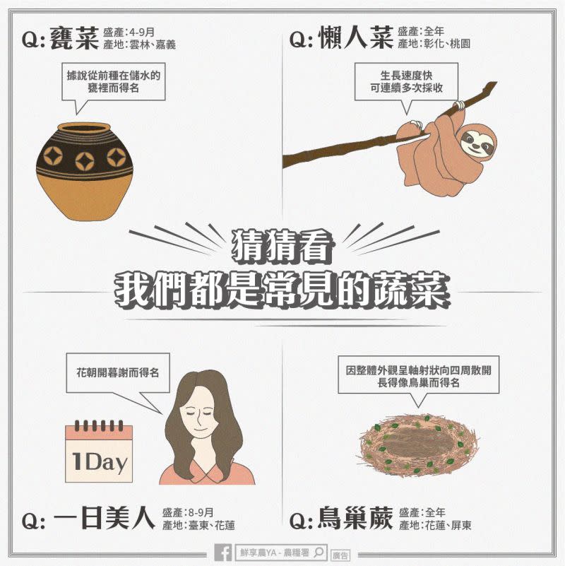 ▲這四種皆為常見蔬菜的別名，你猜出來是什麼了嗎？（圖／Facebook：鮮享農YA - 農糧署）