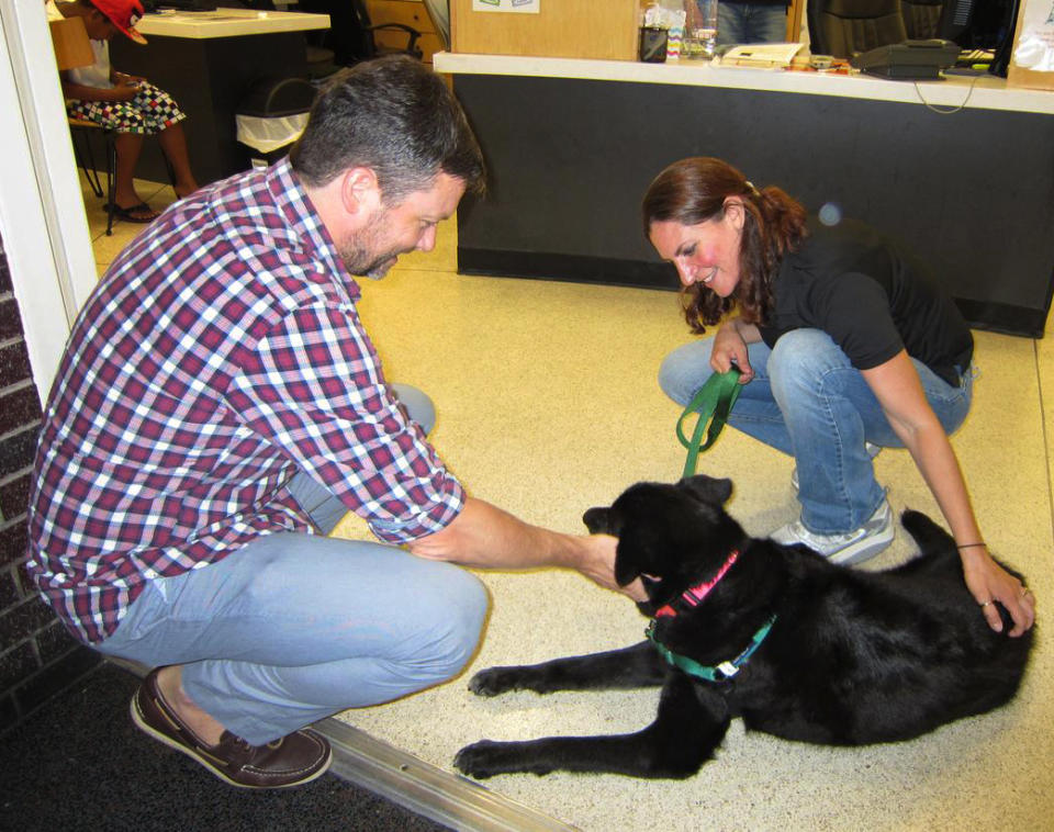 In this July 16, 2012 photo provided by the American Society for Prevention of Cruelty to Animals, Kevin Bechard, left, pets Britney, a 13-year-old Lab mix, at the ASPCA’s Adoption Center in New York. At right is ASPCA customer service representative Stacy Rodriguez. In order to be prepared for dog ownership, experts say you need to examine your lifestyle, home and finances. Then, you need to find the right match. (AP Photo/ASPCA)