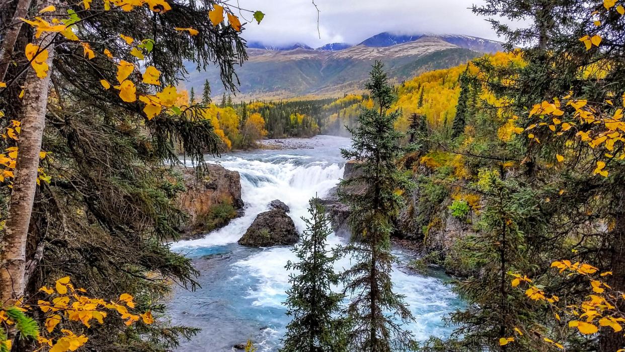 Tanalian River almost looks unreal in Lake Clark National Park and Preserve.