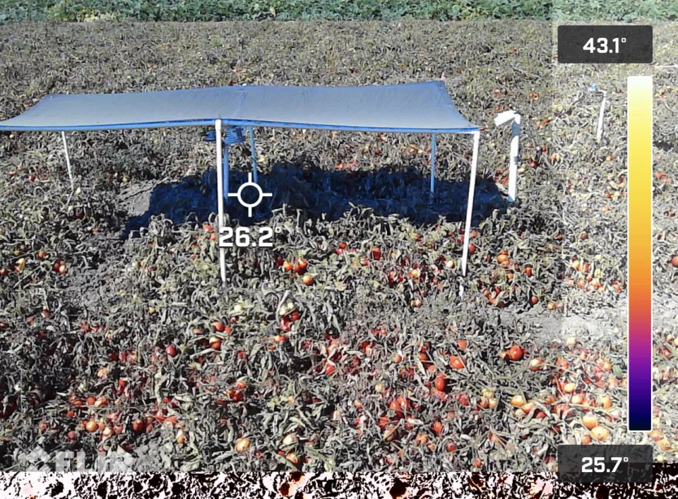 A blue filter over crops with a temperature reading super imposed.