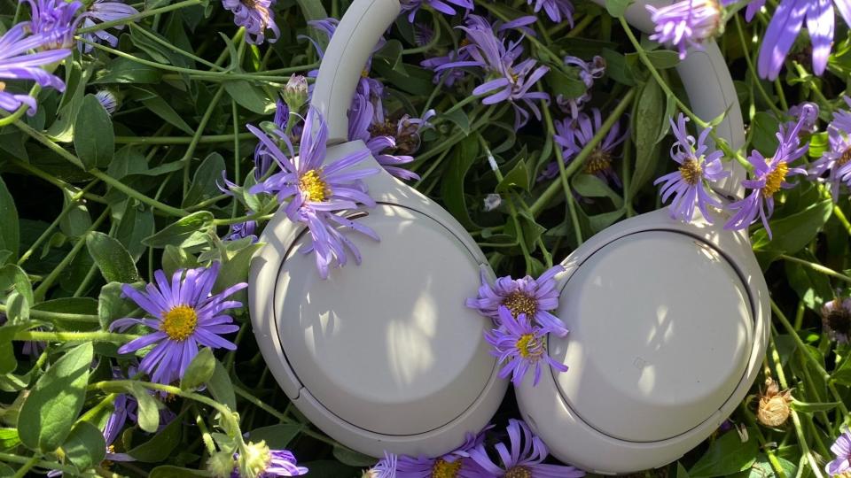 Headphones lying in grass