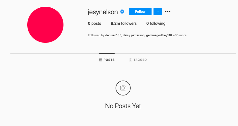 Jesy Nelson has wiped her entire Instagram page (Instagram)