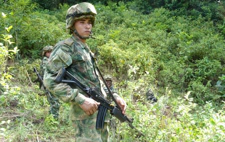 Un soldado del Ejército Nacional vigila durante una operación para erradicar plantas de hoja de coca en zona rural del municipio de Tarazá, en el departamento de Antioquia