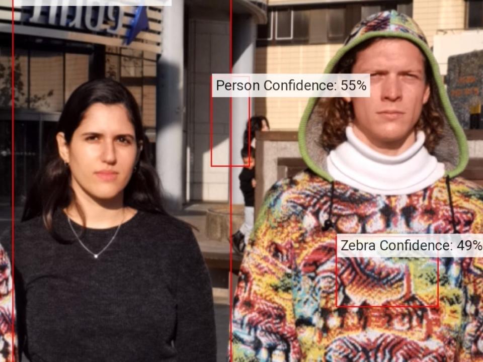 Facial recognition software analysis of someone dressed in Cap_able's vibrant outfit, which has 49& 'Zebra confidence,' compared with someone clad in ordinary clothes, which has 55% 'Person confidence'