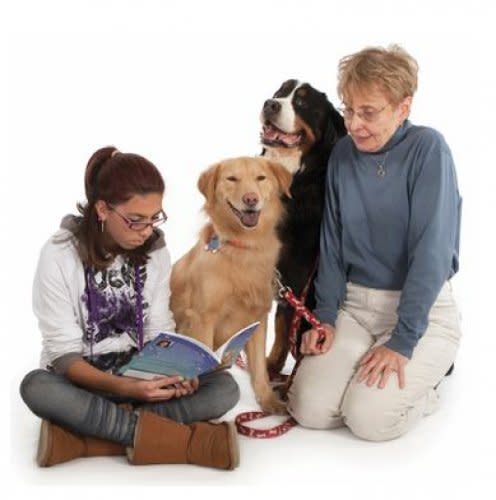 Therapy Dogs Travel