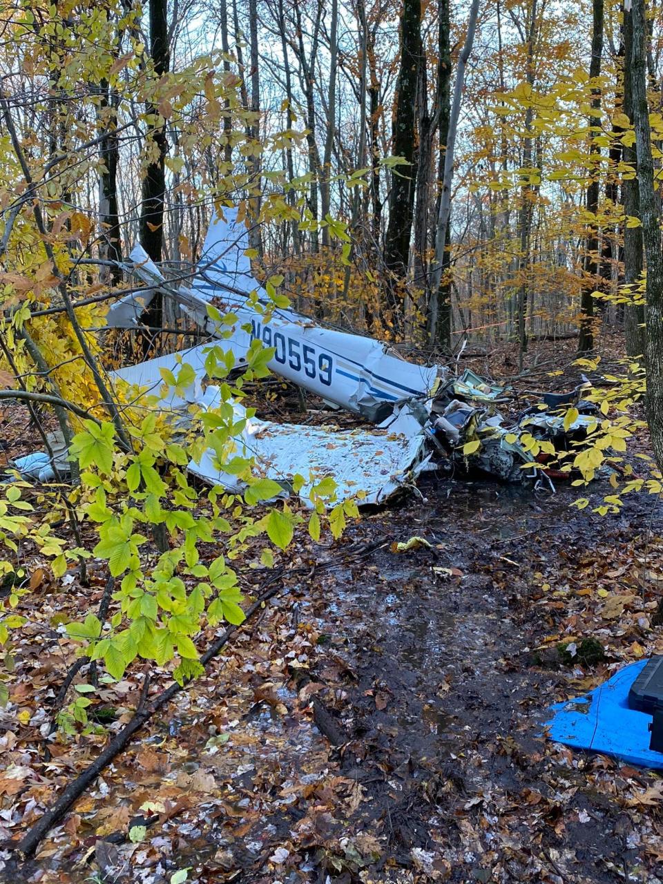 A Cessna 172 went down and killed two in a wooded area in Hampton on Nov. 11, 2021