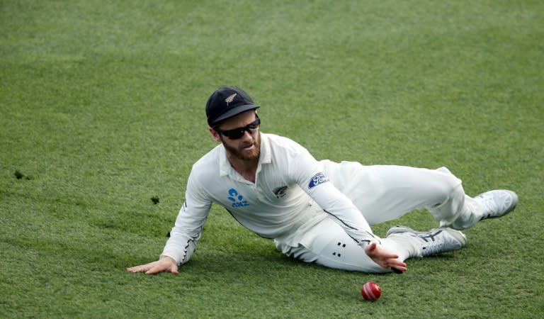 Kane Williamson of New Zealand fields on day four of their third Test match against South Africa, at Seddon Park in Hamilton, on March 28, 2017