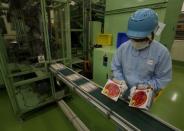 An employee of Ajinomoto Co checks packaging boxes of its Hon-Dashi, or bonito base seasoning, before packing into carton boxes on its packaging line at the company's Kawasaki factory in Kawasaki, south of Tokyo, Japan, June 29, 2015. REUTERS/Yuya Shino