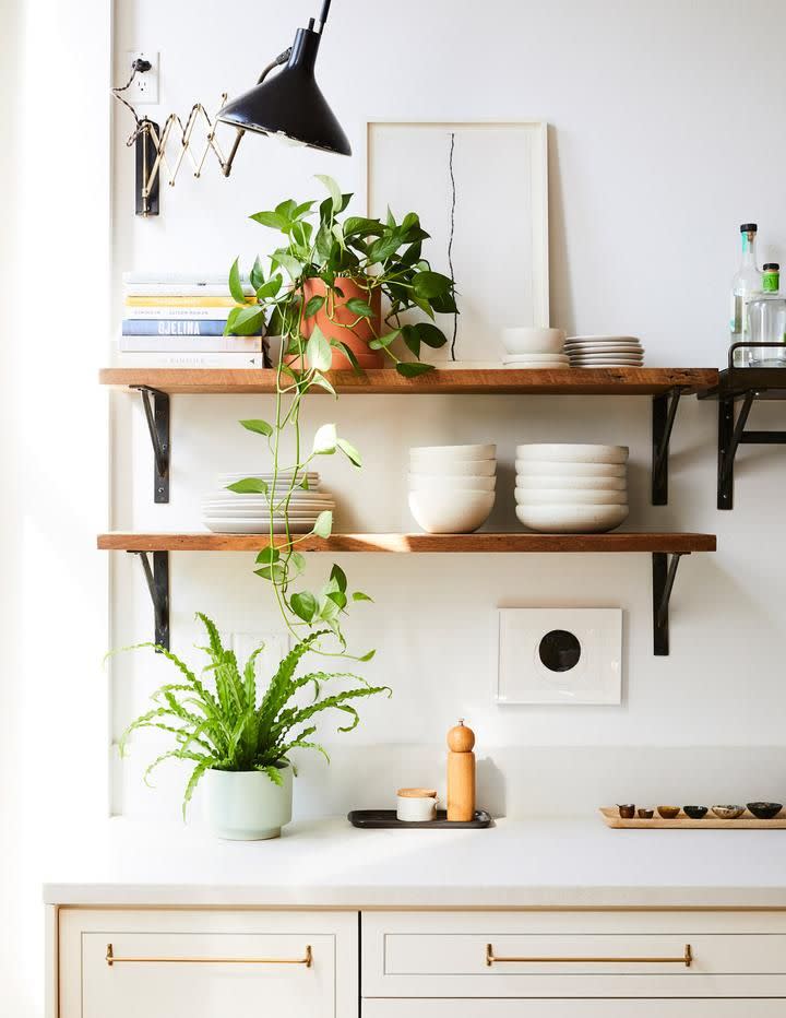 <p>A popular go-to, the Sill has a wide variety of live, faux, and preserved plants, as well as pots and plant accessories to choose from. For those (like me) who need a little extra help with plant care, it even has a <a href="https://go.redirectingat.com?id=74968X1596630&url=https%3A%2F%2Fwww.thesill.com%2Fpages%2Fcare-library&sref=https%3A%2F%2Fwww.esquire.com%2Flifestyle%2Fg35711671%2Fbest-houseplants-to-buy-online%2F" rel="nofollow noopener" target="_blank" data-ylk="slk:Care Library;elm:context_link;itc:0;sec:content-canvas" class="link ">Care Library</a> that outlines how to keep every kind of plant it sells alive. </p><p><a class="link " href="https://go.redirectingat.com?id=74968X1596630&url=https%3A%2F%2Fwww.thesill.com%2F&sref=https%3A%2F%2Fwww.esquire.com%2Flifestyle%2Fg35711671%2Fbest-houseplants-to-buy-online%2F" rel="nofollow noopener" target="_blank" data-ylk="slk:Shop Now;elm:context_link;itc:0;sec:content-canvas">Shop Now</a></p>