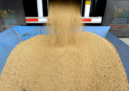 FILE PHOTO: An incoming truckload of soybeans is unloaded at a farm in Fargo, North Dakota, U.S., December 6, 2017. REUTERS/Dan Koeck/File Photo