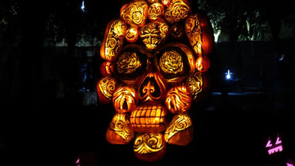 Light, Lighting, Skull, Nightlight, Darkness, Night, Bone, Lighting accessory, Art, 