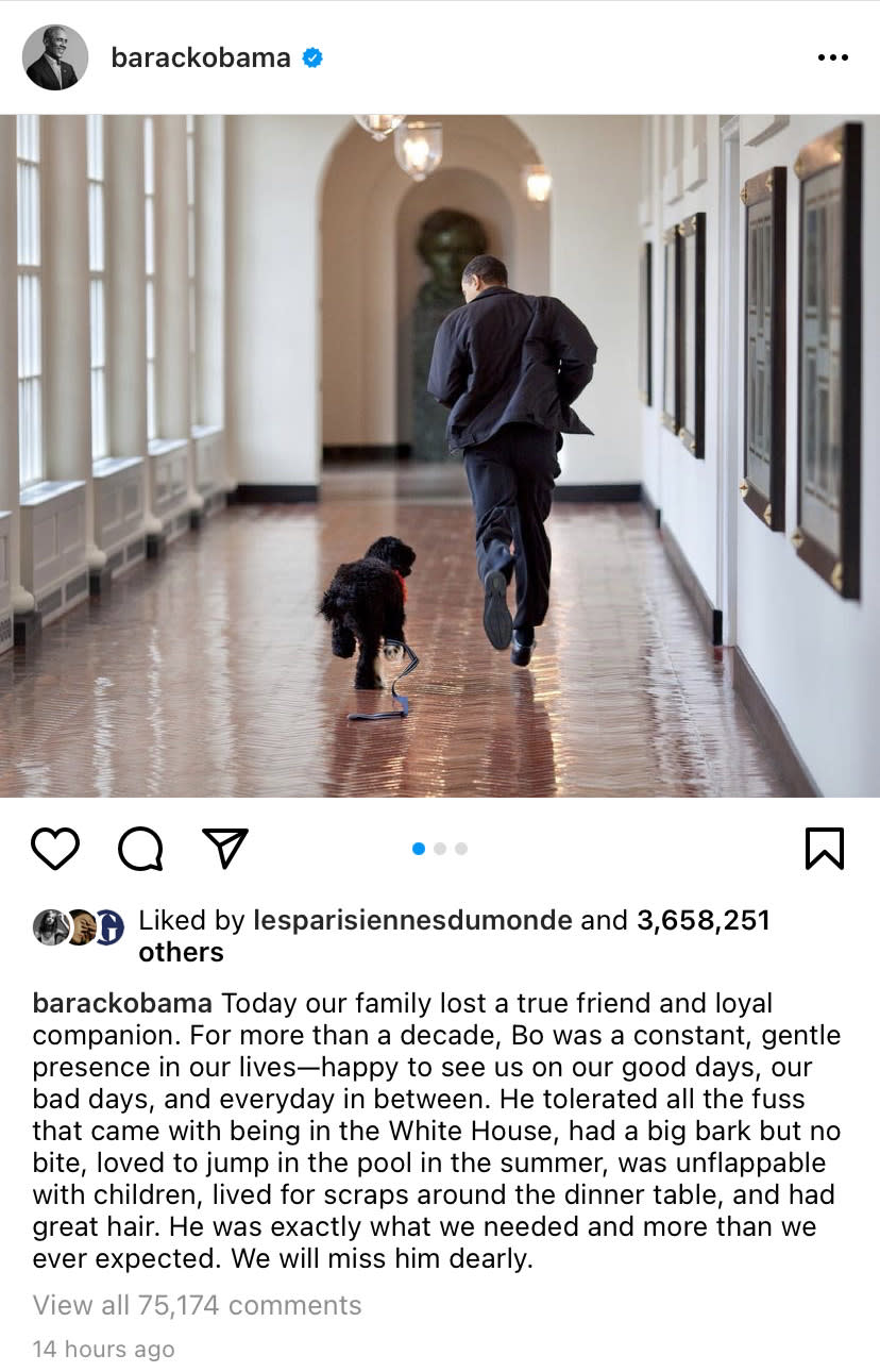 歐巴馬週六（8日）在Instagram上發出長文宣布，愛犬小波（Bo）因癌症離世。（圖／翻攝自Instagram＠barackobama）