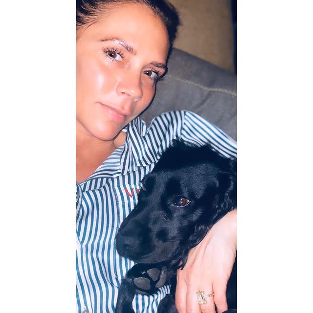 <p>The former Spice Girl shared how even the Beckham pet dog Fig is feeling a little 'unsettled' with all the change brought about by the pandemic.</p><p><a href="https://www.instagram.com/p/B-IJbMQJYQS/" rel="nofollow noopener" target="_blank" data-ylk="slk:See the original post on Instagram;elm:context_link;itc:0;sec:content-canvas" class="link ">See the original post on Instagram</a></p>