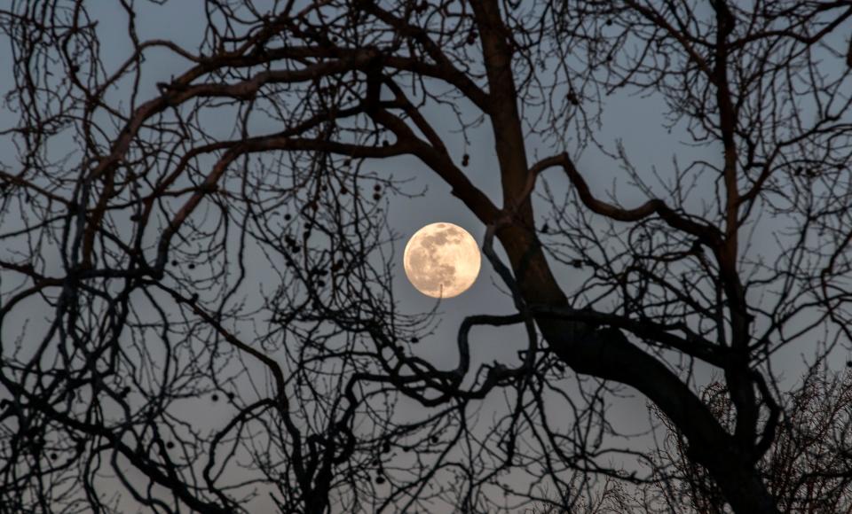 A full moon rises in the east through some trees at the Stockton Golf and Country Club in Stockton. This is an example of framing to create depth. The exposure for the moon and sky are well balanced which helps to bring out the silhouette of the tree in the foreground. 