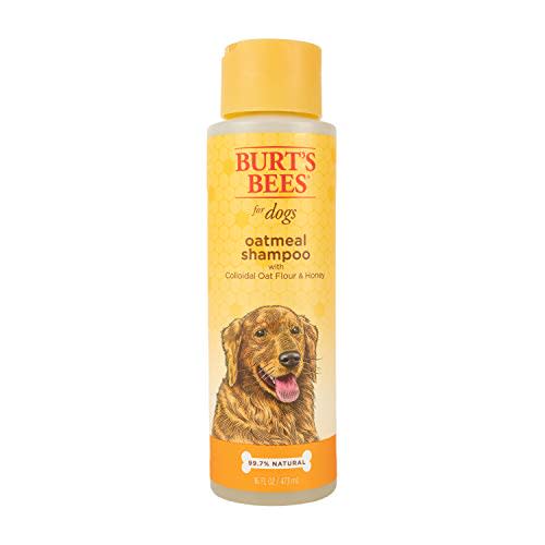 Burt's Bees for Dogs Natural Oatmeal Shampoo (Amazon / Amazon)