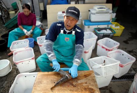 Fishing boat Shikishima-maru captain Yukio Yamamoto, 49, flanked by his mother Yoko, 70, cleans pufferfish near Ohara port in Isumi, east of Tokyo, Japan November 21, 2018. REUTERS/Issei Kato