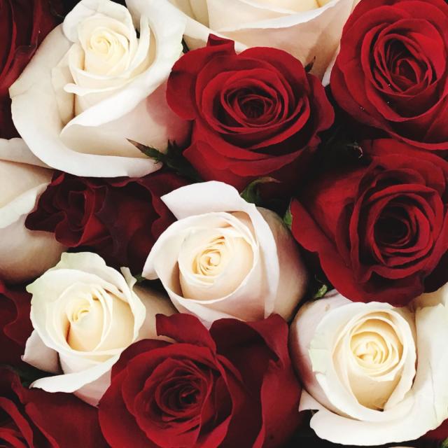 Red roses pair with white wrapper is definitely a good choice if u want it  to be minimal and focusing on th…