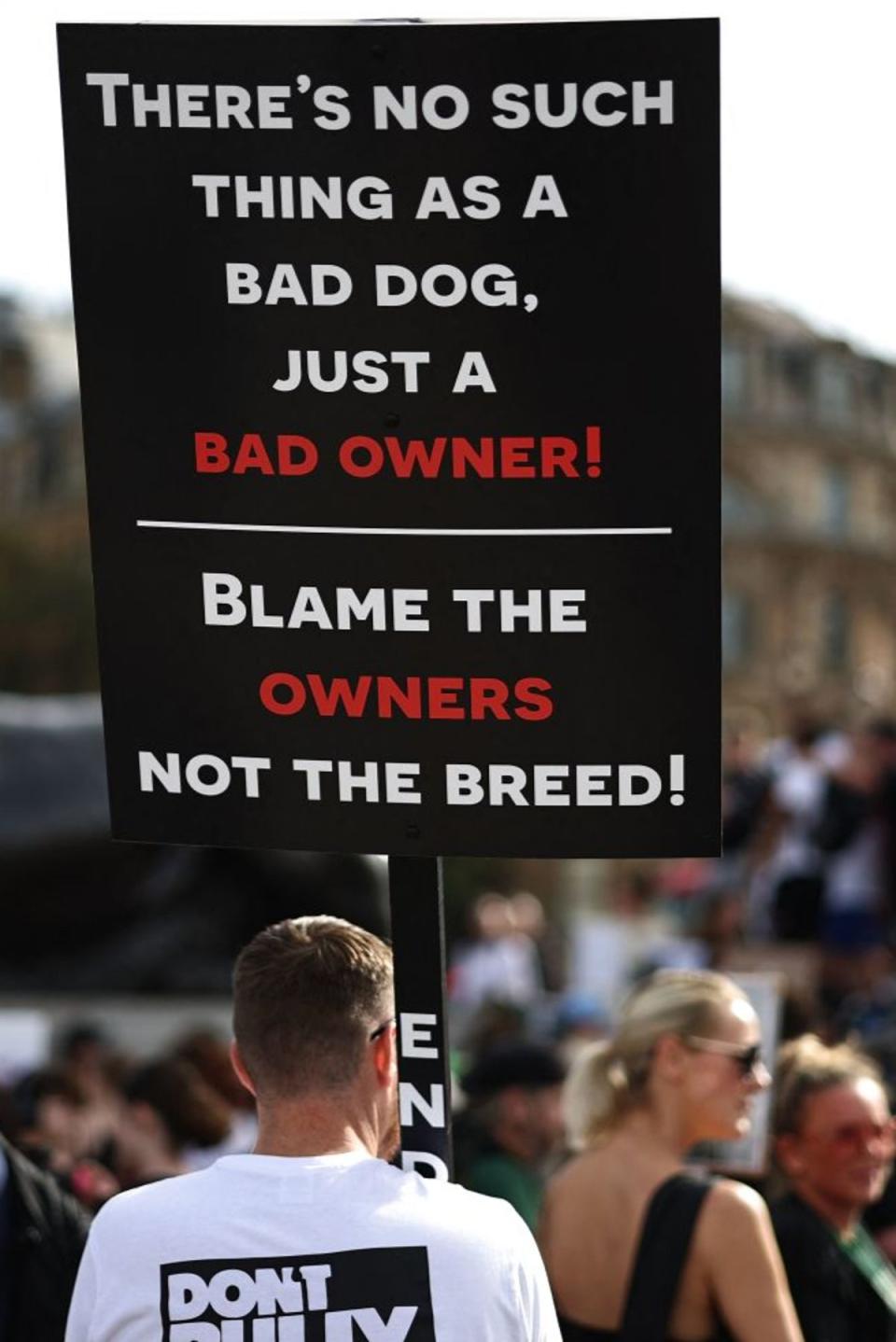 An XL bully supporter attends an anti-ban protest in London in October 2023 (Getty)