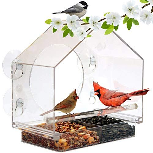 25) Window Bird House Feeder by Nature Anywhere