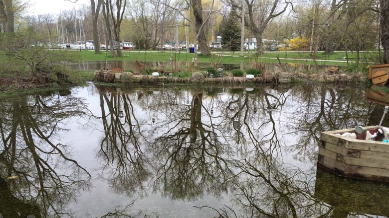 Toronto Islands residents bracing for lake levels to rise up to 25 cm in weeks ahead