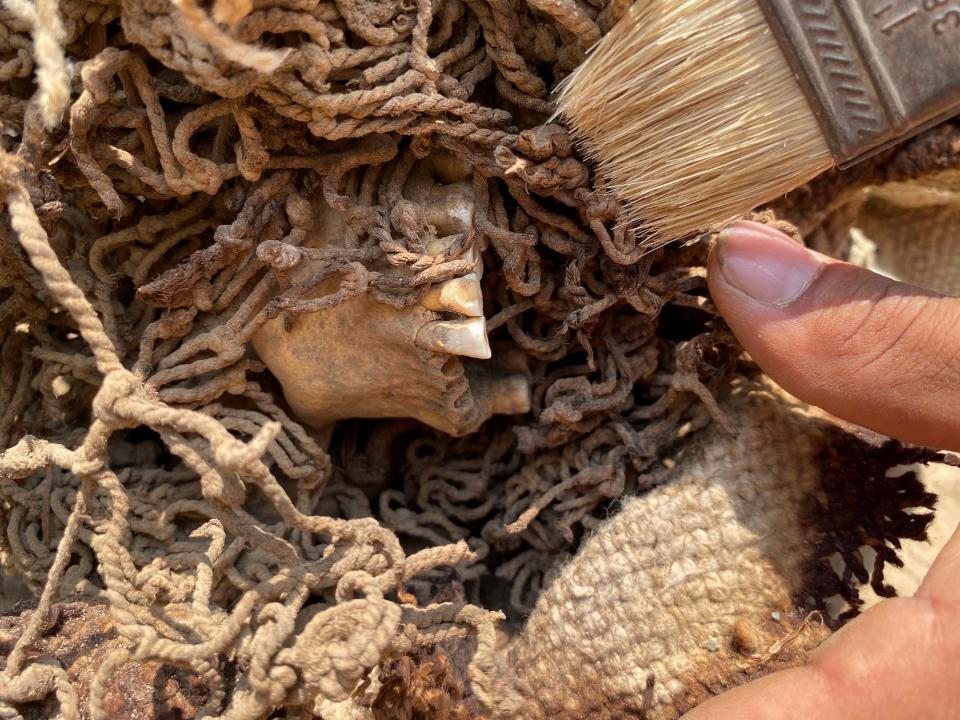 The teeth of a pre-Incan mummy in Cajamarquilla, Peru, are shown next amogn ropes next to an archeologists' brush.