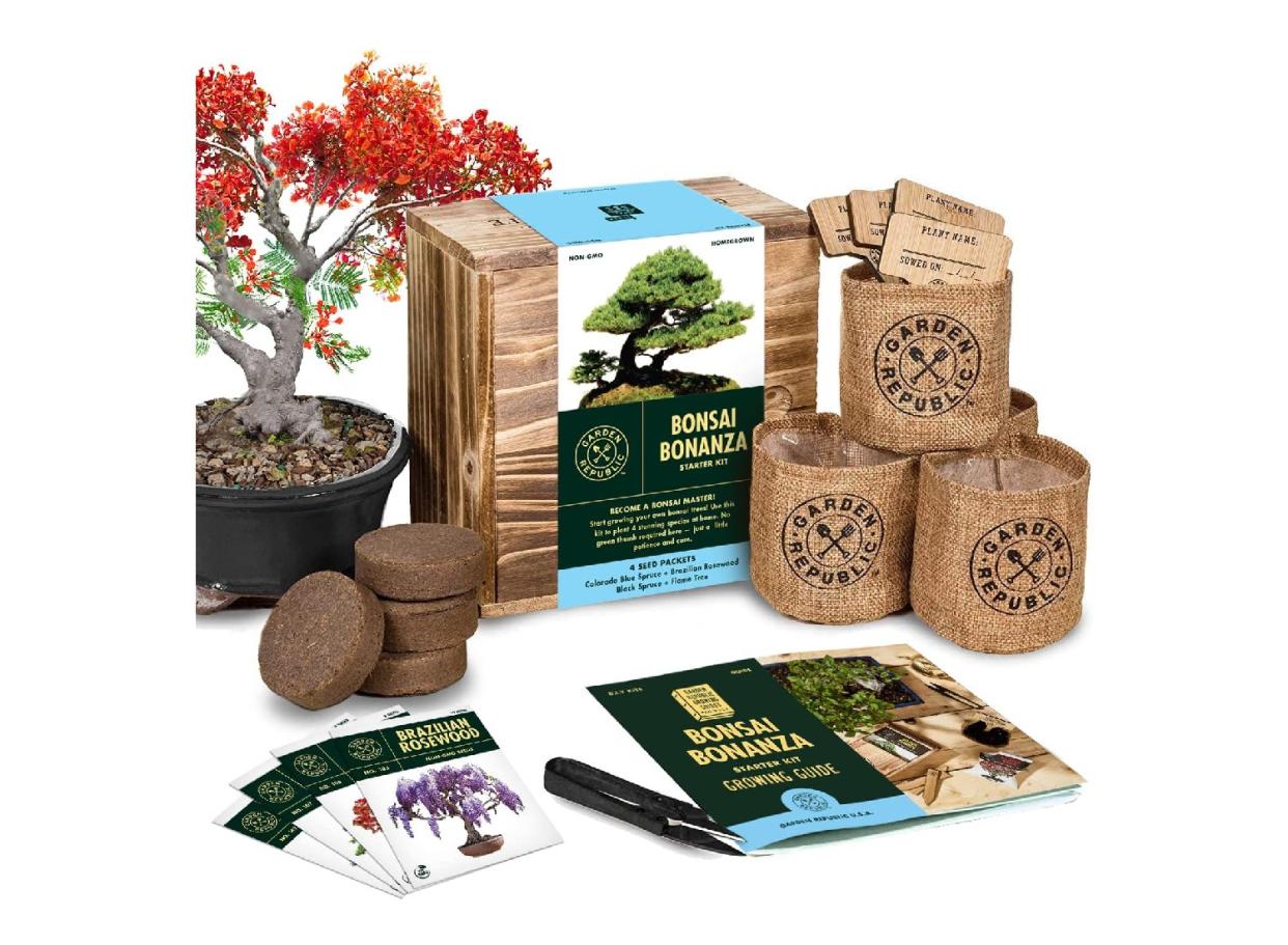 This Bonsai Tree starter kit is perfect for any mom to begin or add to their zen garden. 