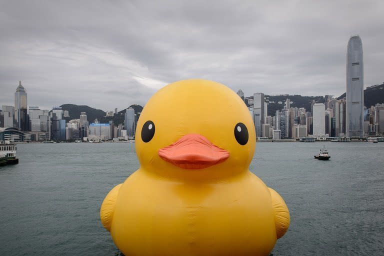 The popularity of a giant inflatable duck afloat in Hong Kong's harbour, pictured here on May 2, 2013, has not gone unnoticed in mainland China. The official mouthpiece of the ruling Communist Party condemned an outbreak of giant yellow ducks across the country, after imitations landed in several cities