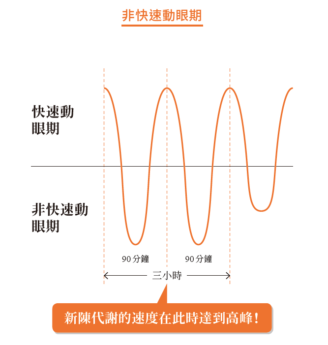 圖片來源：經《1個月-7kg 奇蹟蛋白質減重法》，采實文化出版授權使用，未經許可不得任意轉載。