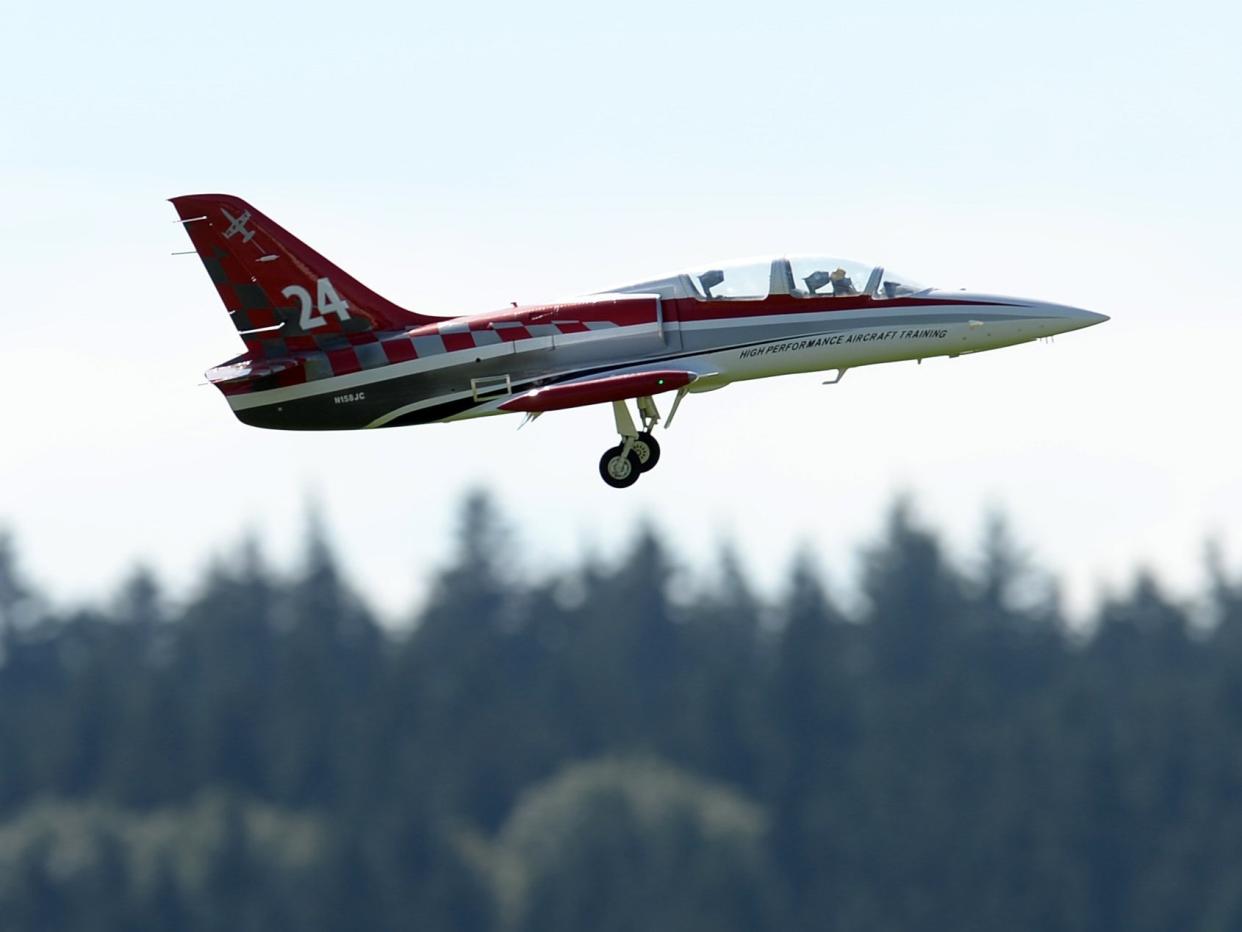 The pilots were flying L-39 jets (pictured here in Germany in 2015) (CHRISTOF STACHE/AFP via Getty Images)
