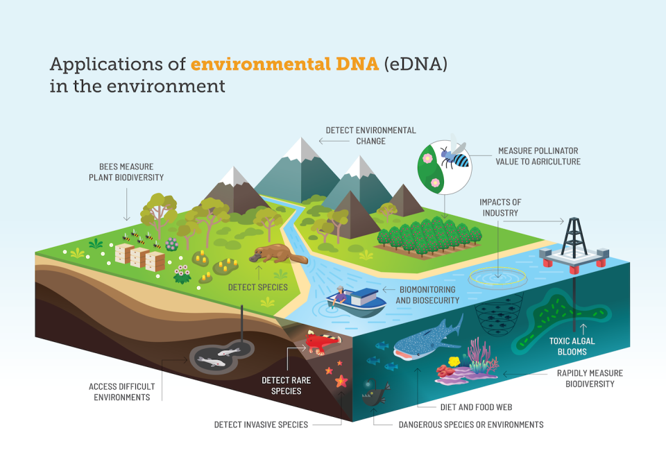 Environmental DNA sampling has a wide range of uses, from land to river to sea. Berry et al, doi.org/10.1002/edn3.173, <a href="http://creativecommons.org/licenses/by-nd/4.0/" rel="nofollow noopener" target="_blank" data-ylk="slk:CC BY-ND;elm:context_link;itc:0" class="link ">CC BY-ND</a>