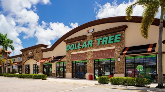 Dollar Tree Items You Can Find on