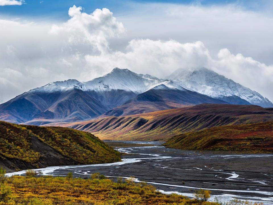 Denali National Park