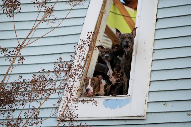 Tornado activity damages homes and buildings in Tennessee