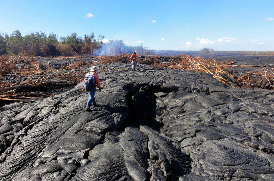 In this Oct. 22, 2014 photo provided by the United States Geological Survey, Hawaii Volcano Observatory geologists walk over the surface of the flow to track surface breakouts along a portion of the flow margin, about a kilometer (0.6 miles) upslope of the flow front, as the lava advances on the town of Pahoa on the Big Island of hawaii. Scorched and burned trees are seena t rear. The growing stream of lava threatening homes is expanding and speeding up as it heads toward the small rural town. Officials say the lava advanced nearly 460 yards from Thursday morning to Friday, Oct. 24, 2014. (AP Photo/U.S. Geological Survey)