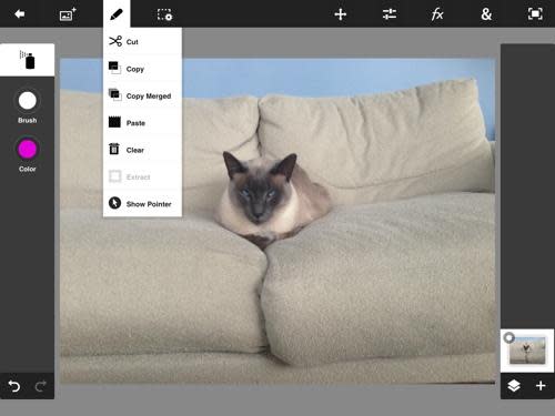 Photo being edited in Photoshop Touch