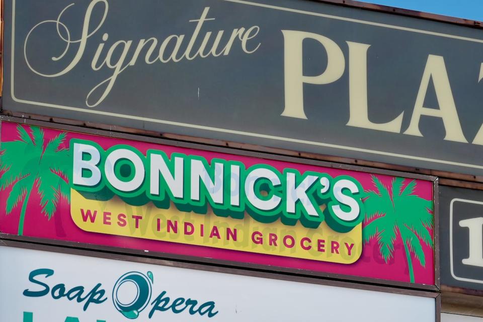 Jamaican news reports say Bonnick was arrested and appeared in a local courtroom in Kingston in Feb. Articles say the fraud charges had connections to her businesses. 