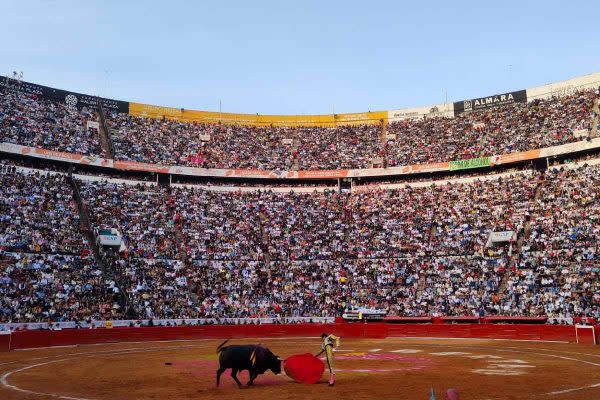 La Plaza de Toros México reanudó actividades