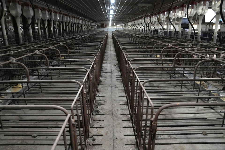 Narrow gestation crates, formerly used by Jared Schilling on his sow farm, are seen Thursday, June 29, 2023, in Walsh, Ill. Schilling no longer uses the crates after making his farm compliant with a California law, taking effect on July 1, that promises to get breeding pigs out of narrow cages that restrict their movement. (AP Photo/Jeff Roberson)