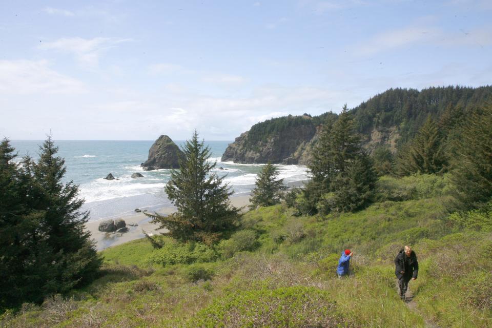 The trail down to Whaleshead Beach at Samuel H. Boardman State Scenic Corridor on Oregon's south coast.