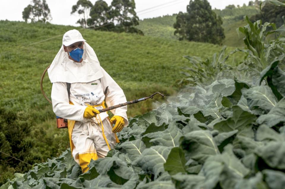 Lobbyists Encouraged the Obamas to Use Pesticides