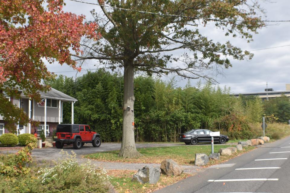 An overgrown field next to a home on Beaver Avenue is the planned site of a 100,000-square-foot storage facility in Mount Laurel.