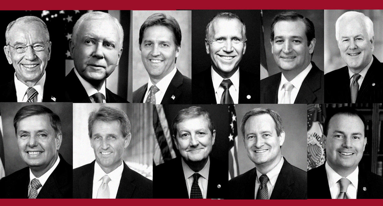 Republican members of the Senate Judiciary Committee (from top left): Chuck Grassley, Orrin Hatch, Ben Sasse, Thom Tillis, Ted Cruz, John Cornyn; (from bottom left) Lindsey Graham, Jeff Flake, John Kennedy, Mike Crapo and Mike Lee. (Photos: U.S. Senate)