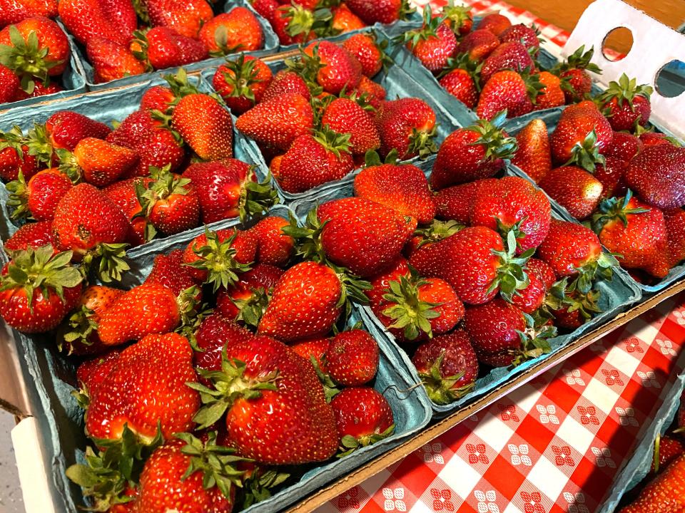 The strawberry crop at Troyer's Farm is significantly less due to a hail storm that wiped out the majority of the crop.