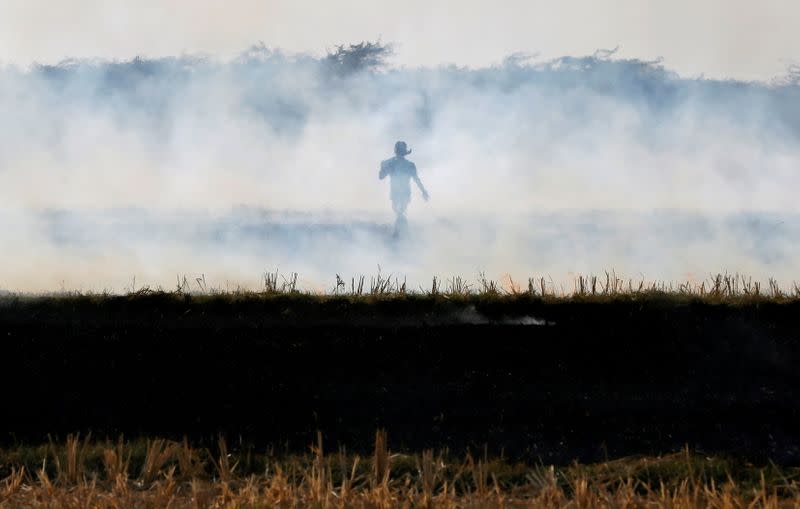 FILE PHOTO: A farmer burns paddy waste stubble in a field on the outskirts of Ahmedabad