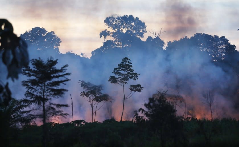 MADRE DE DIOS REGION, PERU - NOVEMBER 16: Fire burns in a deforested section along the Interoceanic Highway in the Amazon lowlands on November 16, 2013 in Madre de Dios region, Peru. Fires often are set to clear land for farming. The biologically diverse Madre de Dios ('Mother of God') region has seen deforestation from gold mining in the area triple since 2008, when gold prices spiked during global economic turmoil. In addition, deforestation along the recently constructed highway has occurred due to logging and farming as the highway has opened access to previously remote areas. (Photo by Mario Tama/Getty Images)