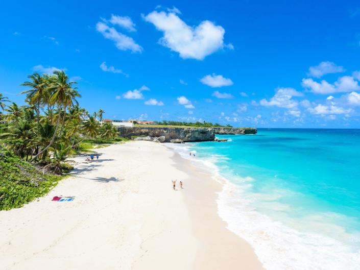 Bottom Bay, Barbados - Paradise beach on the Caribbean island of Barbados. Tropical coast with palms hanging over turquoise sea. Panoramic photo of beautiful landscape.