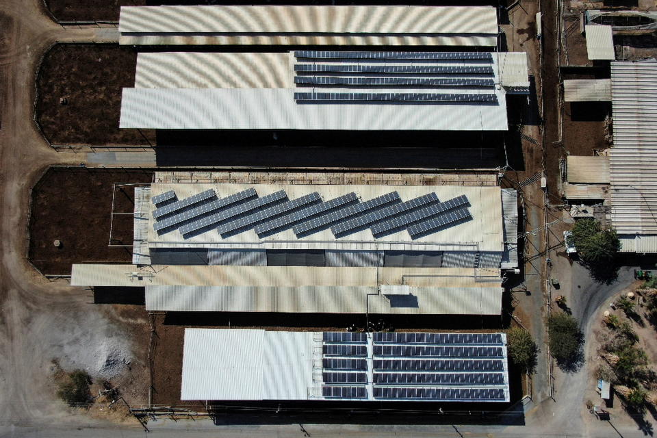 An aerial view of cowsheds at Augwind's commercial facility, which provides a new technological solution for storing and producing energy in a shift away from fossil fuels, in favour of renewable energy sources, in Kibbutz Yahel, Israel November 30, 2021. Picture taken with a drone on November 30, 2021. REUTERS/Ammar Awad