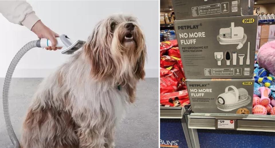 Aldi pet grooming kit being used on a dog