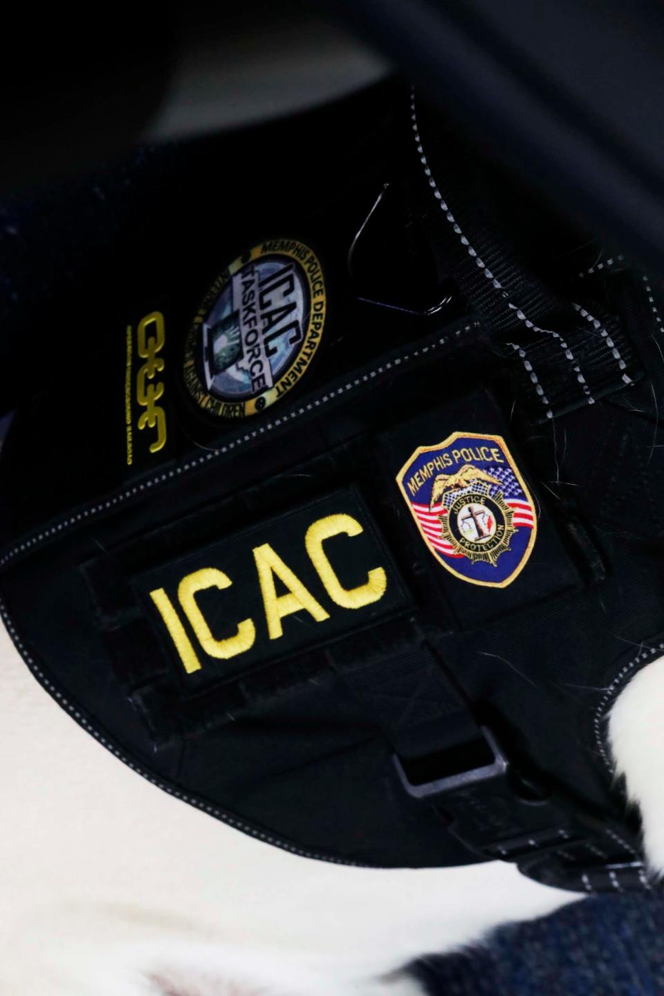 Glitch, an English Labrador who joined the Memphis Police Department in January of 2023, works in the Internet Crimes Against Children Task Force Program with his handler Sergeant Joshua Davis, can be seen with an “ICAC” and gold MPD shield on his vest at Memphis Police Department Headquarters on Monday, November 13, 2023 in Memphis, Tenn.