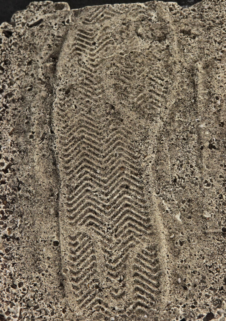 a shoe print in the ground